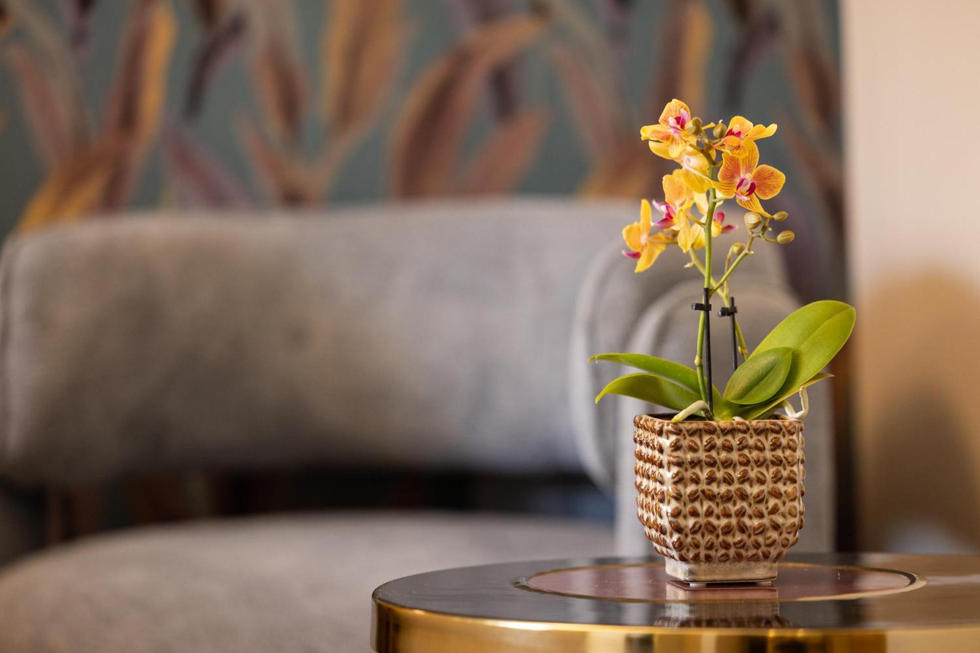 Mavi Luxury Suites Roma Eksteriør bilde
